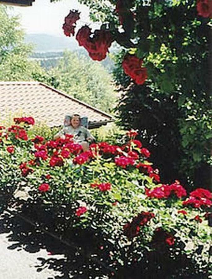 Haus Bergblick Bay. Wald Apartman Prackenbach Kültér fotó
