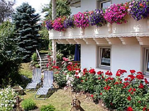 Haus Bergblick Bay. Wald Apartman Prackenbach Kültér fotó