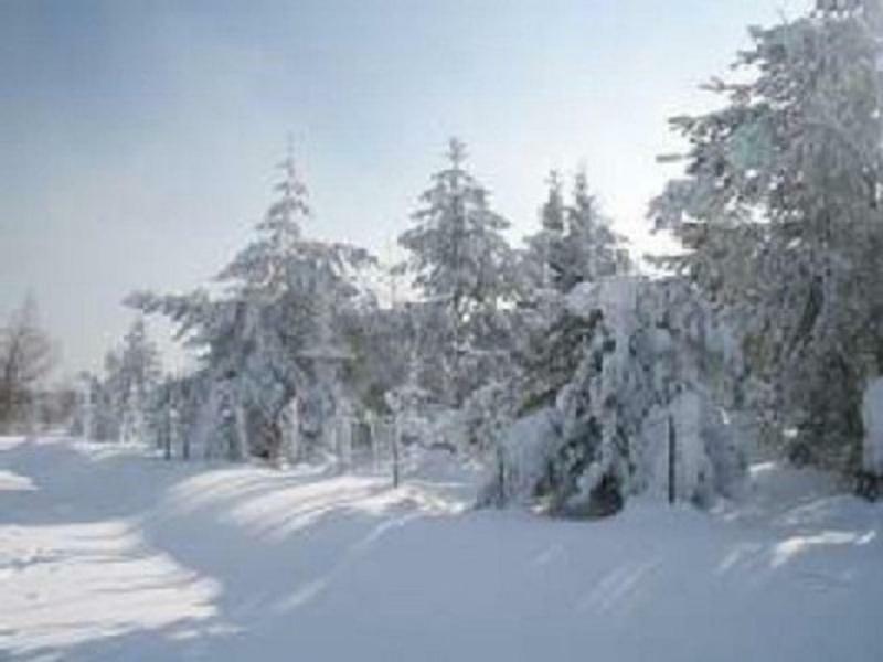 Haus Bergblick Bay. Wald Apartman Prackenbach Kültér fotó