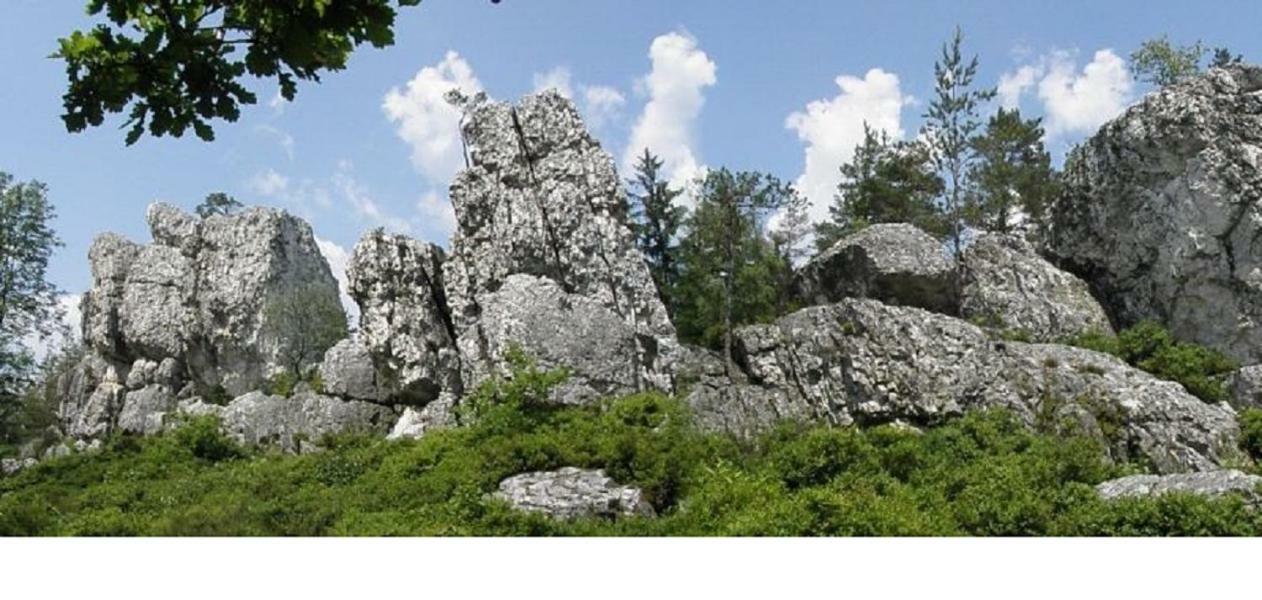 Haus Bergblick Bay. Wald Apartman Prackenbach Kültér fotó